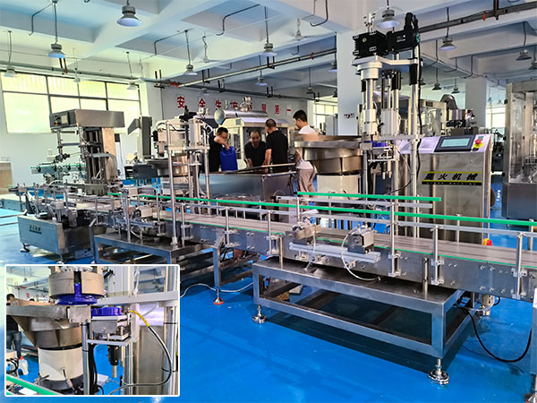 自動上蓋旋蓋機(jī)